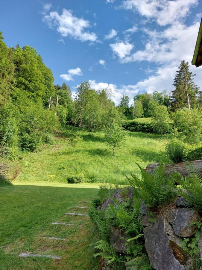 Chalet Peter Zell am See Extérieur photo