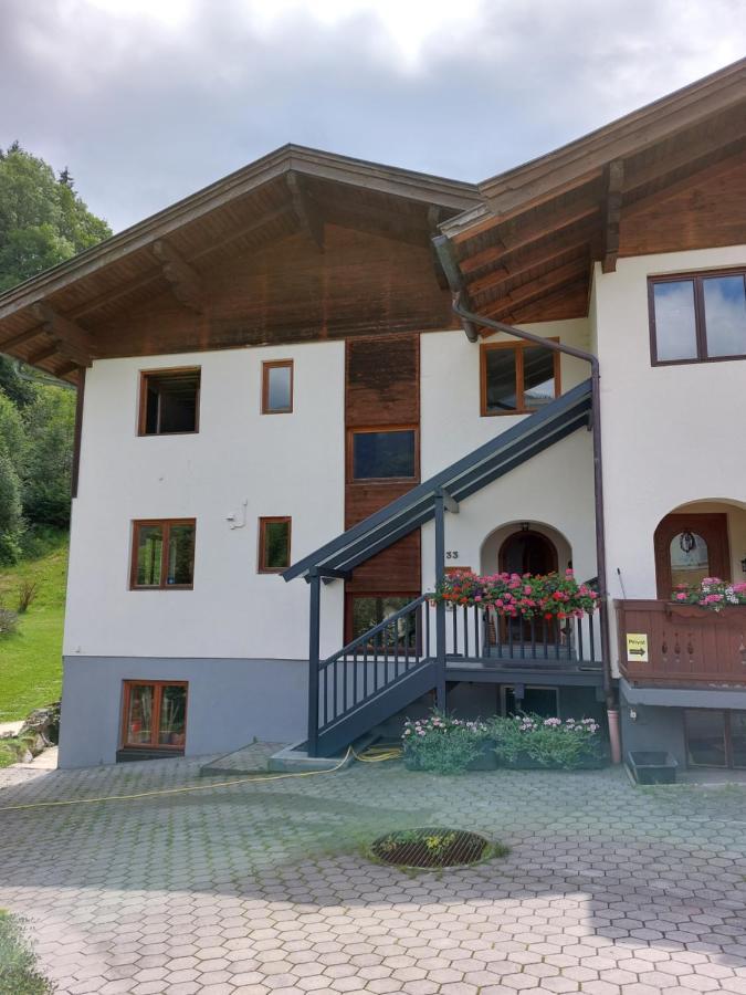 Chalet Peter Zell am See Extérieur photo